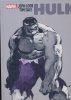 JEPH LOEB TIM SALE HULK GALLERY EDITION HC [STANDARD] [9781302953072]